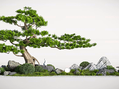 禅意枯山水 新中式松树景观