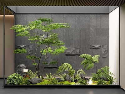 禅意花境 室内景观 植物组合 景观造景 枯山水 鸡爪槭