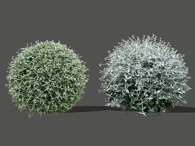 灌木 2D水果兰球 水果蓝 灌木球 霜雾植物