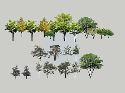 植物组合