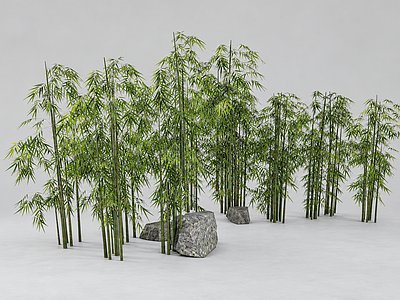 新中式景观竹子 绿植 植物 竹子