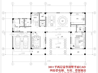 别墅建筑 两层独栋别墅平面 别墅平面 豪华别墅平面 自建房平面 电梯车库保姆房