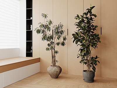 原木风盆栽 中古盆栽盆景 侘寂盆栽 绿植摆件 盆栽盆景 花盆