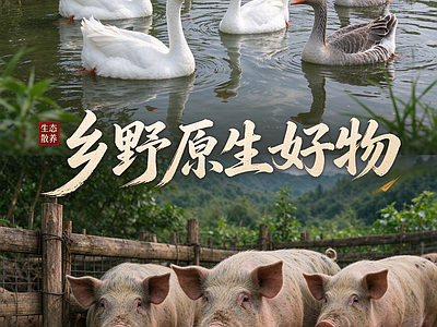 其他风景