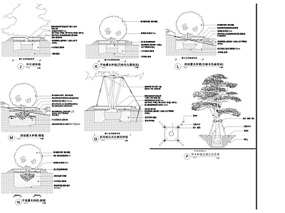 设计说明 绿化种植设计说明 植物标准种植图 绿化种植大样图