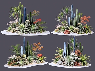 现代主义沙漠植物 2D仙人掌 多肉植物 仙人球 沙漠植物造景 景观植物