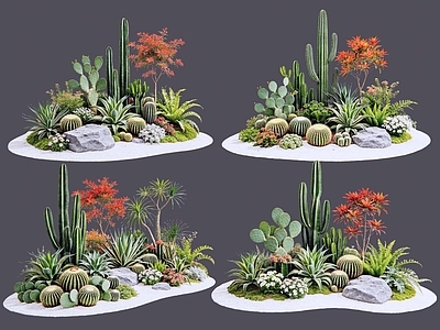 现代主义沙漠植物 2D仙人掌 多肉植物 仙人球 沙漠植物造景 景观植物