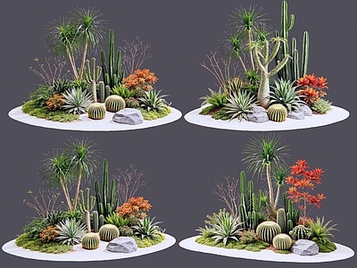 现代主义沙漠植物 2D仙人掌 多肉植物 仙人球 沙漠植物造景 景观植物