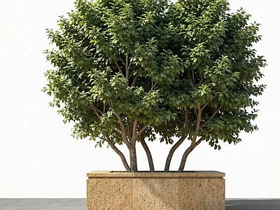 树池 方形树池座凳 景观坐凳 方形花池