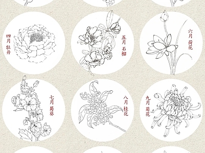 综合植物图库 花朵植物 植物素材 花朵模型 植物平立面