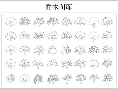 乔木种植