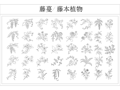 攀援植物