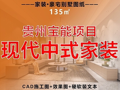 小户型平层 现代中式住宅 家装住宅 公寓 平层 新中式