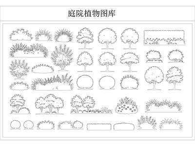 中庭绿化