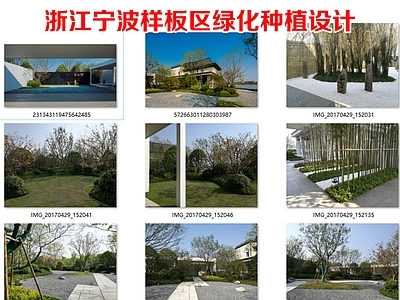 示范区景观 浙江宁波绿化苗木 样板区绿化设计 万科样板区绿化