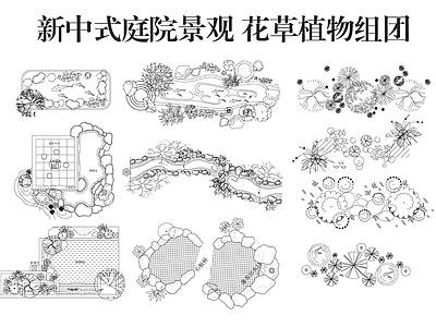 庭院 景观 庭院