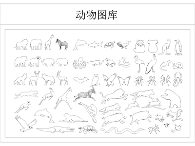 动物