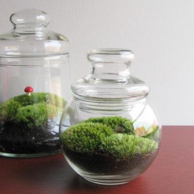 植物墙 贴图 自然元素