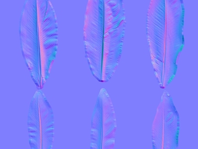 其他法线
