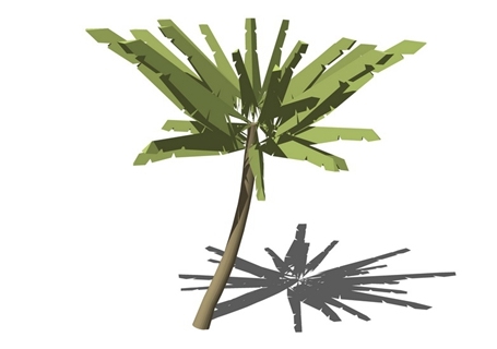 3D棕榈科植物