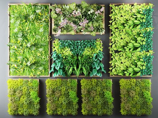 北欧绿植多肉画框挂画植物墙组合