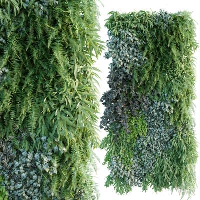 现代植物墙 墙