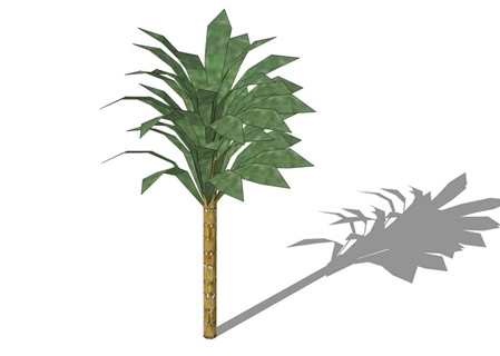 景观植物树
