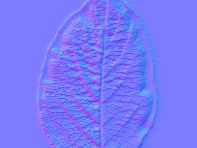 其他法线