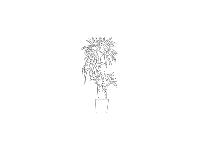 绿植 植物立面