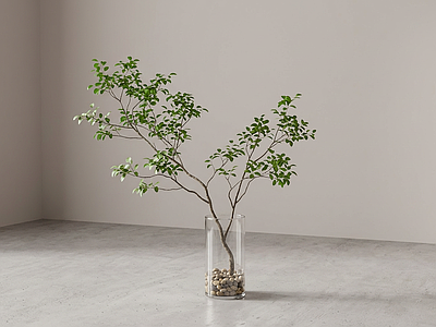 装饰绿植盆栽