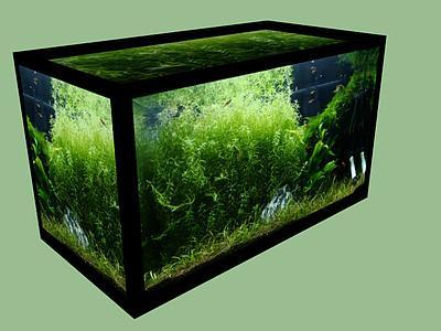 fish tank Fish tank