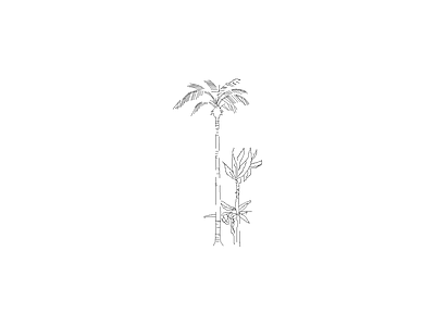 乔木种植 备用植物图例