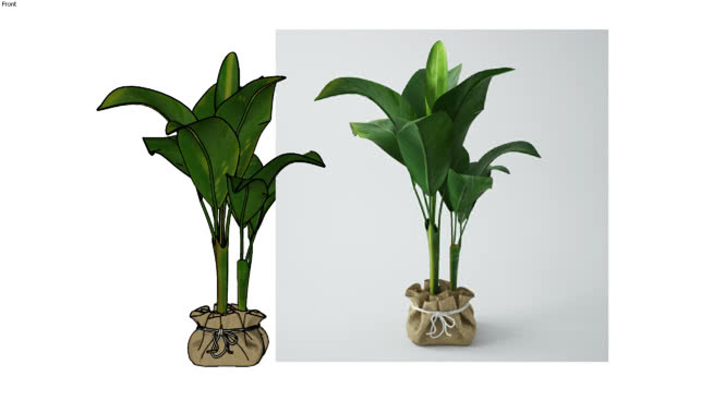 PLANT 3 饰品 画 其他