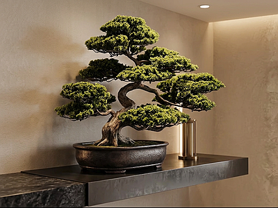 造型盆景绿植盆栽
