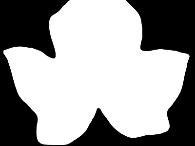 高光