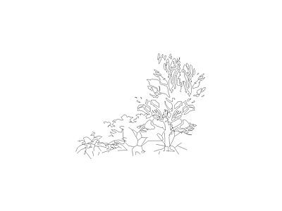 乔木种植 植物图块