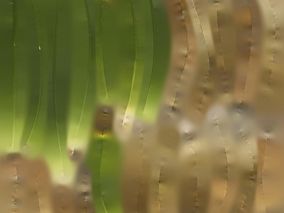 鱼缸