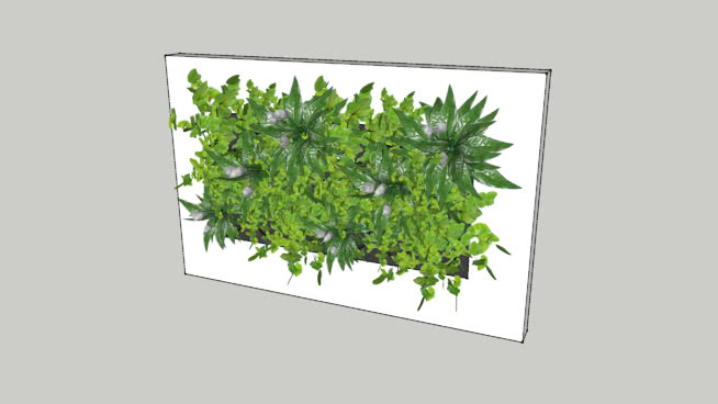 LivePicture 2 by Mobilane BV The Netherlands. 其他 显示器 植物 相框 监视器