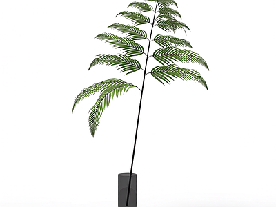 带茎绿色植物模型