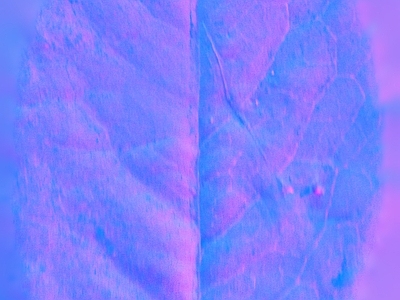其他法线