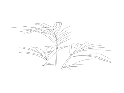 绿植 植物图例