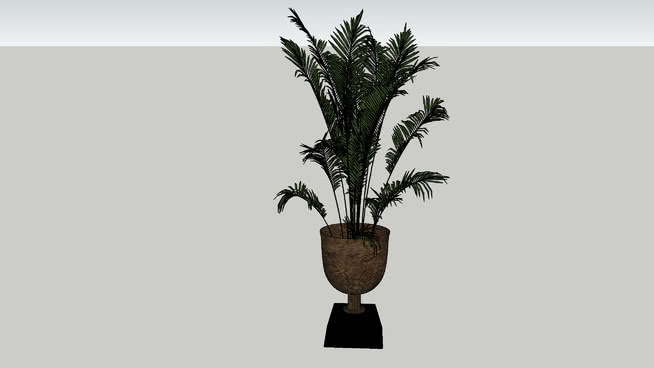 装饰植物 花瓶 植物 其他 花盆 盆