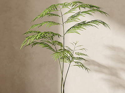 艺术绿植盆栽