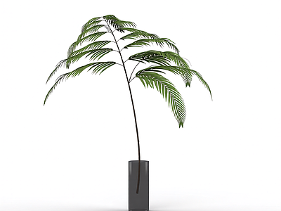 绿色枝叶植物模型