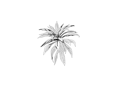 绿植 备用植物图例