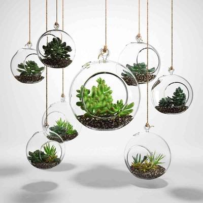 玻璃球植物挂件盆栽摆件