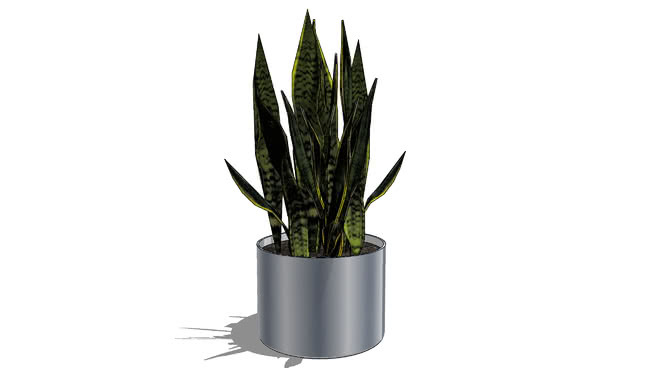 这是一个花花公子的花瓶。 植物 其他 菠萝 花瓶 饰品