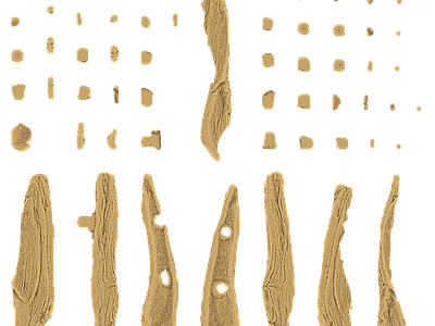 其他木头