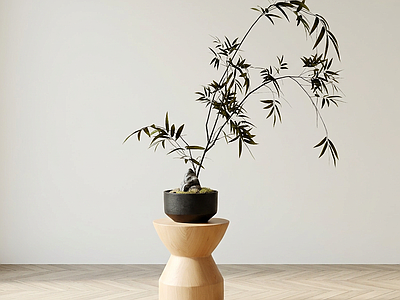 艺术绿植竹子