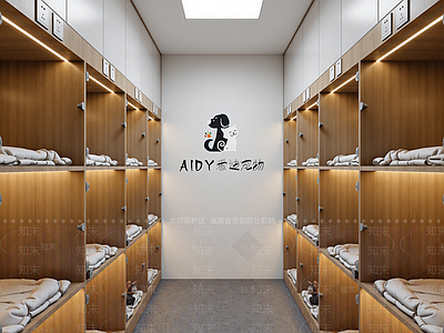 现代宠物店